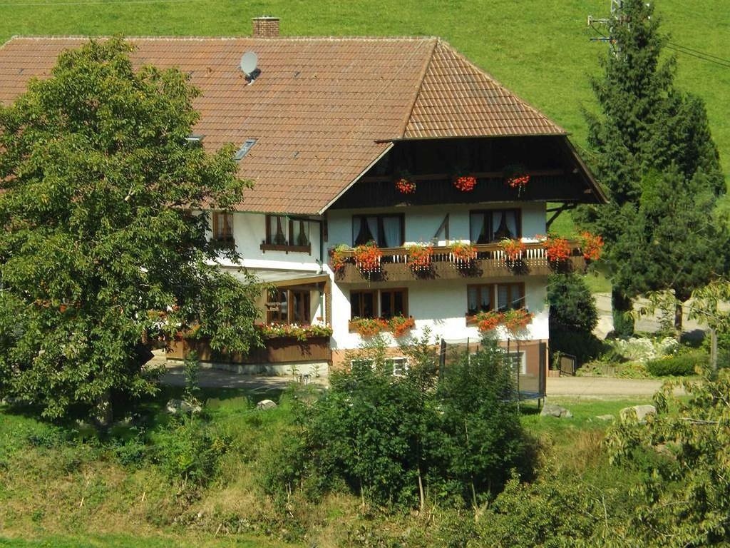 Schusselehof Appartamento Oberprechtal Esterno foto